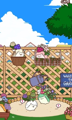 小花盆刺猬(Hananezumi)