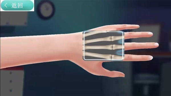 X射线扫描模拟器 X射线扫描模拟器