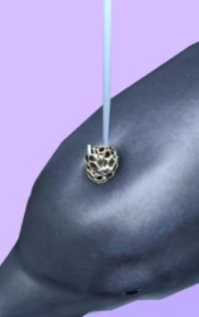 鱼诊所Fish Clinic 鱼诊所Fish Clinic