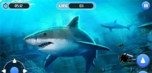 白鲨攻击任务White Shark Attack Mission 3D