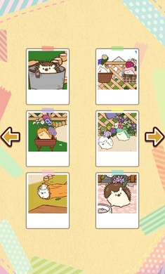 小花盆刺猬(Hananezumi) 小花盆刺猬(Hananezumi)