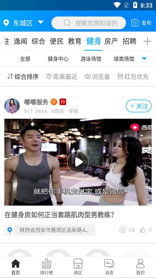 野鸽子商信 野鸽子商信