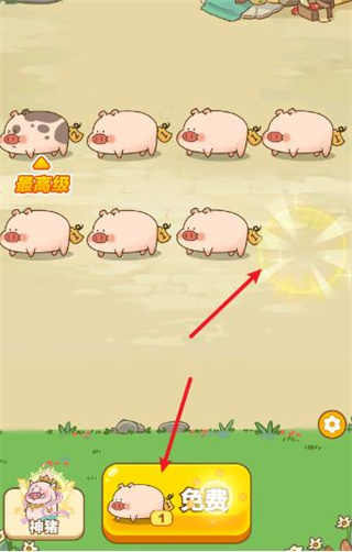 猪猪多多 猪猪多多