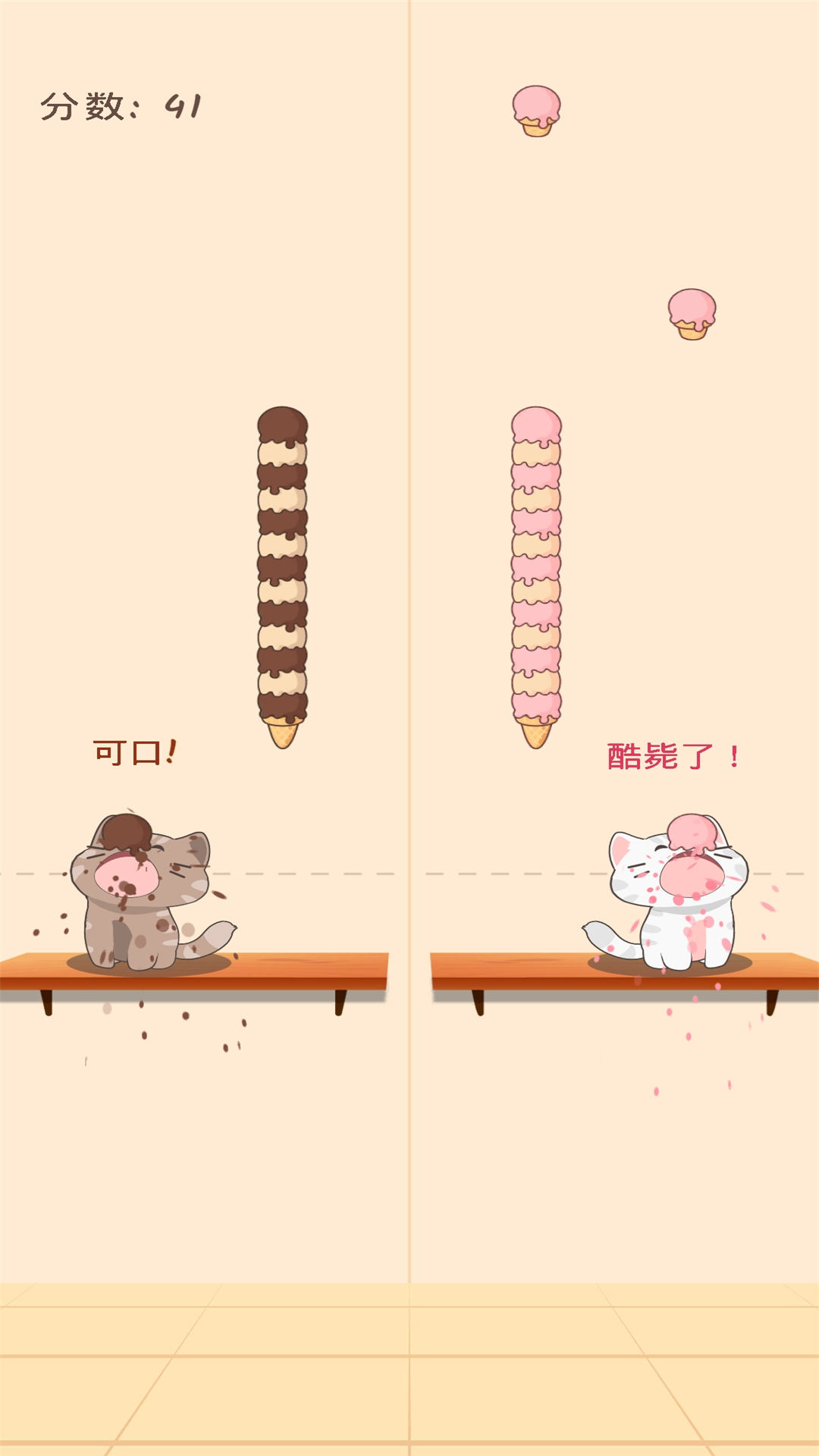 萌猫日记 萌猫日记