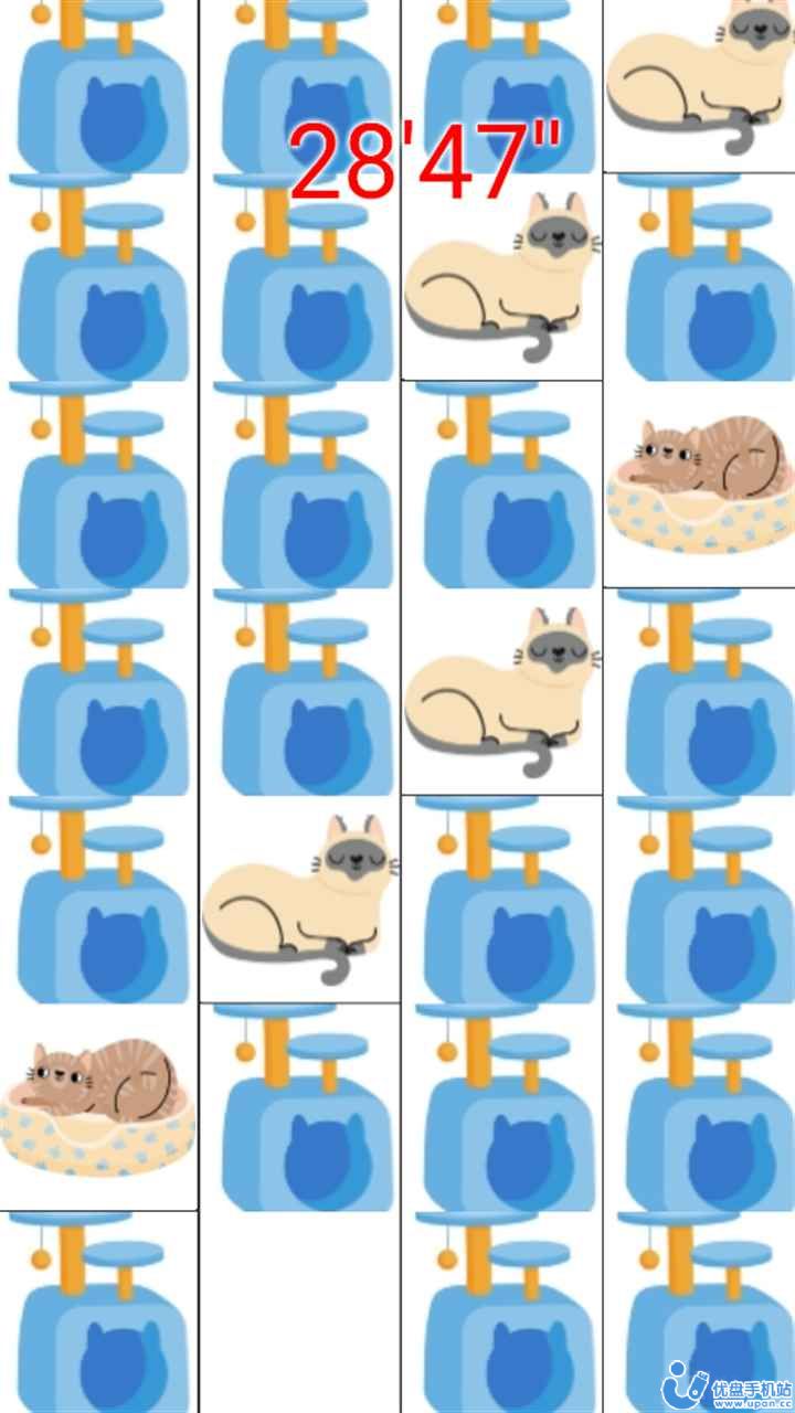 打猫猫 打猫猫