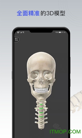 维萨里骨科专家