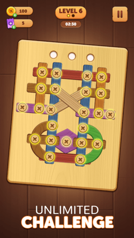 Wood Screw & Nuts Puzzle