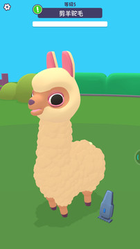 农村动物园 农村动物园