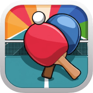 Ping Pong: Table Tennis Board