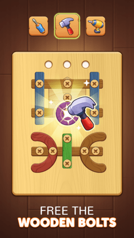 Wood Screw & Nuts Puzzle