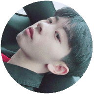 野猫多功能工具箱破解版