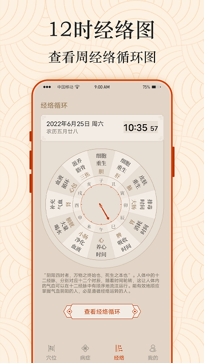 Ai经络穴位图 Ai经络穴位图