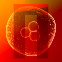 Nuclien(DNA设计师)