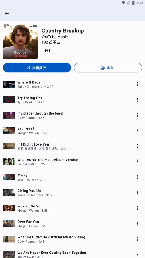 InnerTune安卓版最新版本