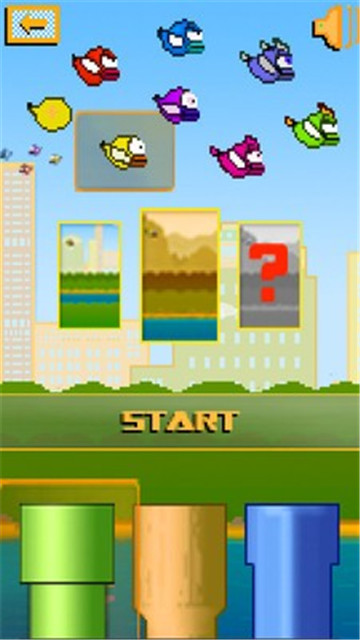 快乐的小鸟 快乐的小鸟