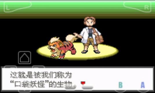 口袋妖怪极光石