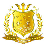 极速云金盾高防A版