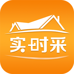 实采