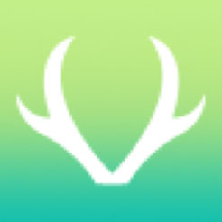 九色鹿课程平台