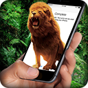 Lion On Screen手机上的狮子下载