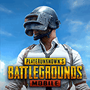 pubgm(国际服)下载