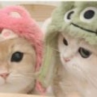 嘤嘤怪影视app安卓版