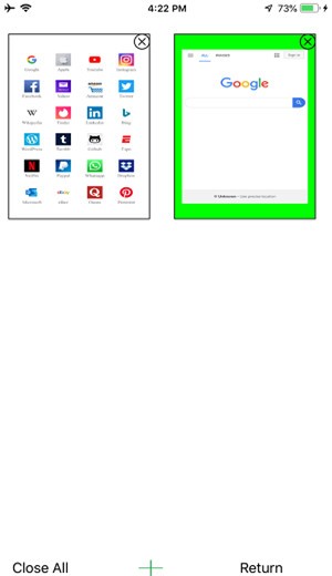 soul browser浏览器
