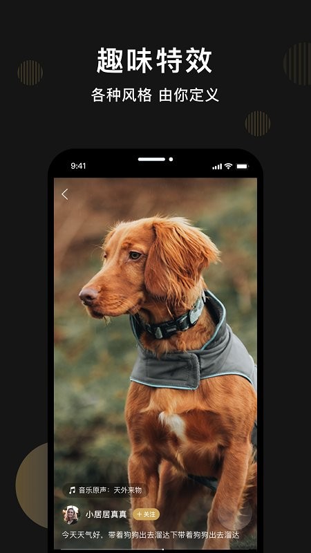 皮可宠物 皮可宠物
