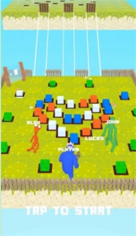 Mine _ Craft Bridge Race