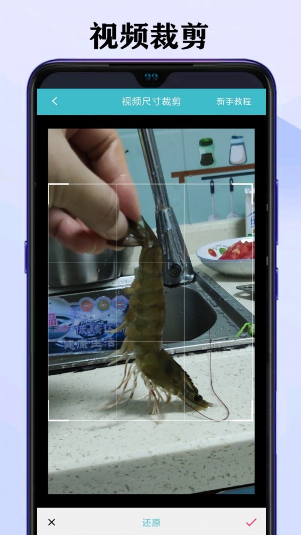 短视频去水印大师 短视频去水印大师