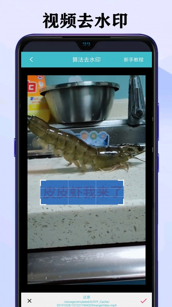 短视频去水印大师