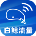 白鲸流量