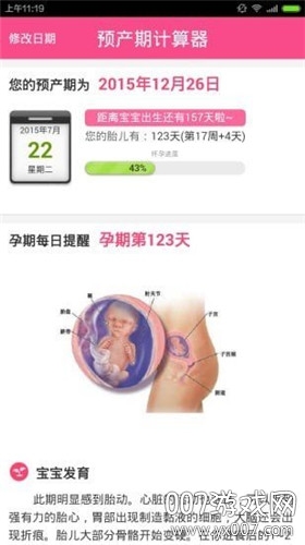 预产期计算器计算