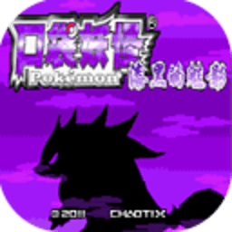 口袋妖怪:漆黑的魅影5