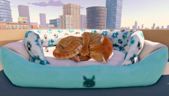 猫咪历险记:大都市