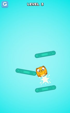 Puffy Cat(鼓胀的猫)