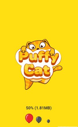 Puffy Cat(鼓胀的猫)