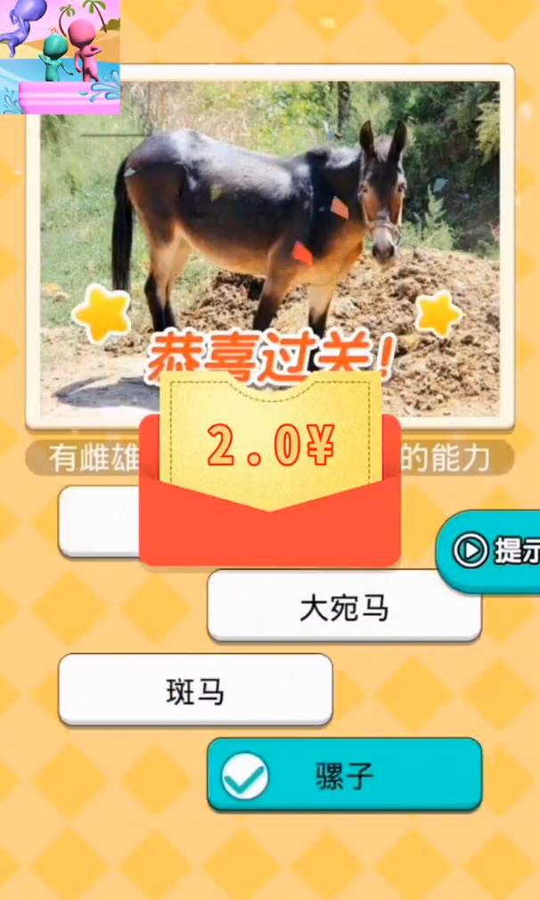 水上派对 水上派对