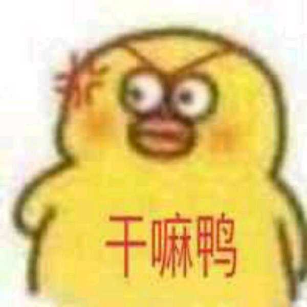 干嘛鸭