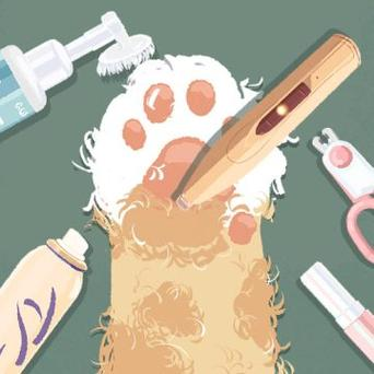 收纳物语大师游戏官方版下载(Receive Arrange)