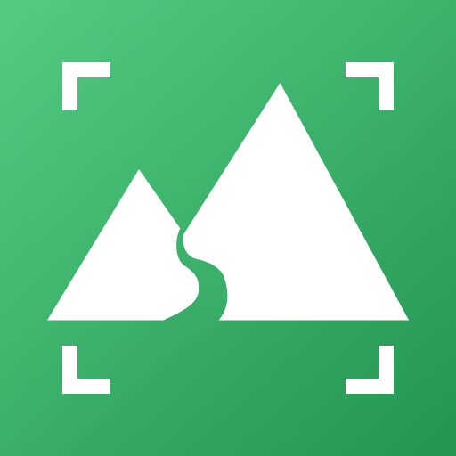 雨林壁纸图片大全高清下载手机版