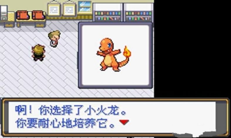 口袋妖怪 最后的火红