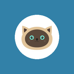 电视浏览器TV版下载(Vita Browser)