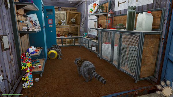 Raccoon Adventure: City Simulator 3D