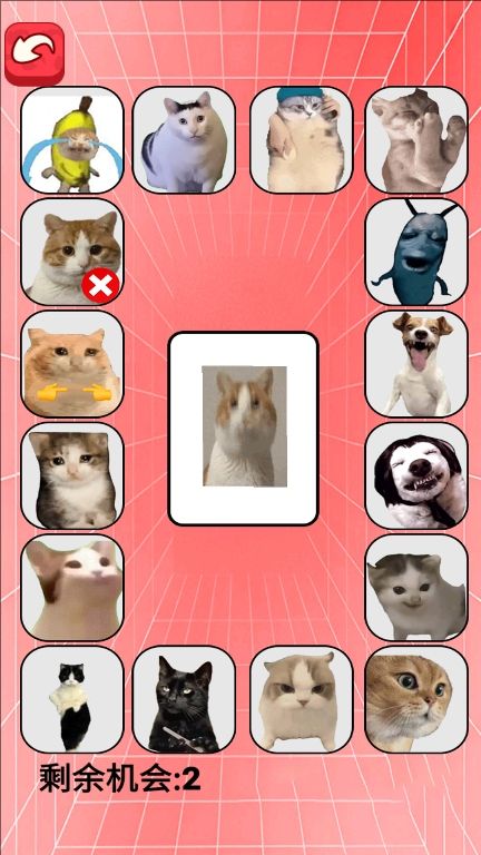 猫meme考试 猫meme考试