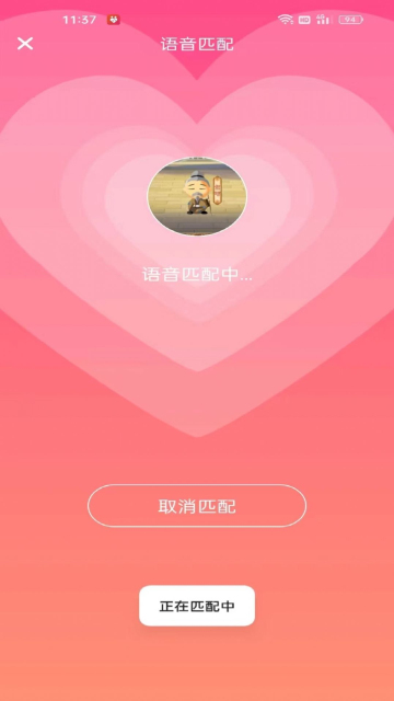 同城蜜伴 同城蜜伴