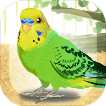 Parakeet