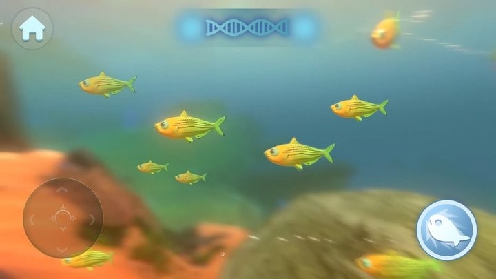 大鱼吃小鱼3d