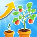 植物冲刺Plant Rush