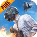鬼头v9直装科技中文免费版(PUBG MOBILE)下载